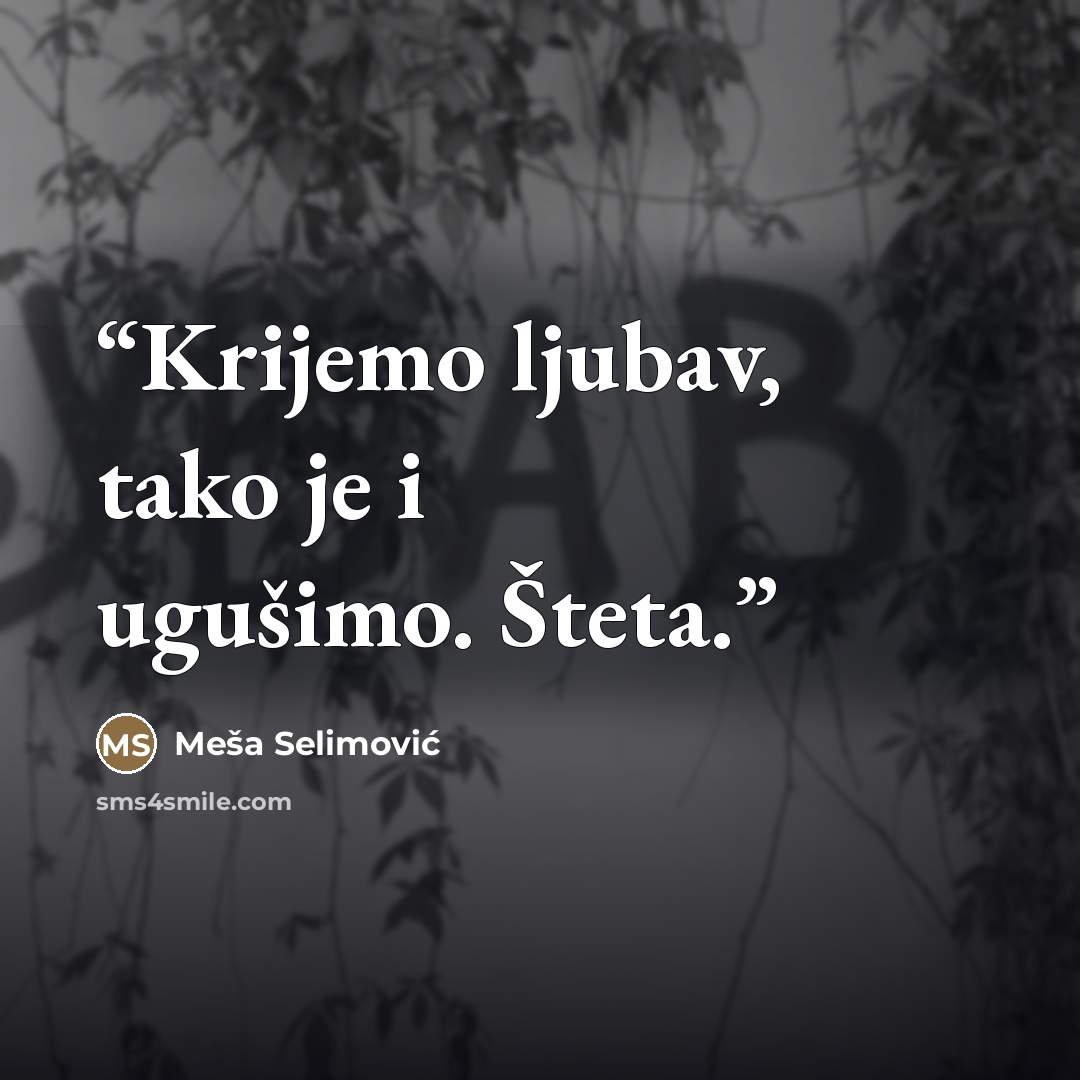“Krijemo ljubav, tako je i ugušimo. Šteta.” quote by Meša Selimović