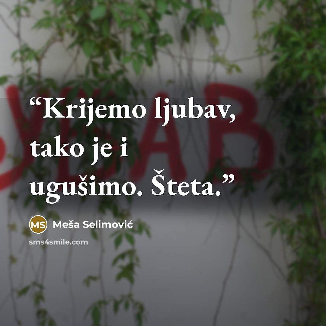 “Krijemo ljubav, tako je i ugušimo. Šteta.” quote by Meša Selimović