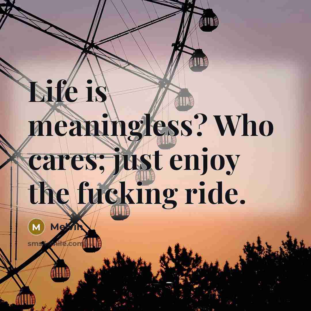 “Life is meaningless? Who cares; just enjoy the fucking ride.…” quote by Melvin