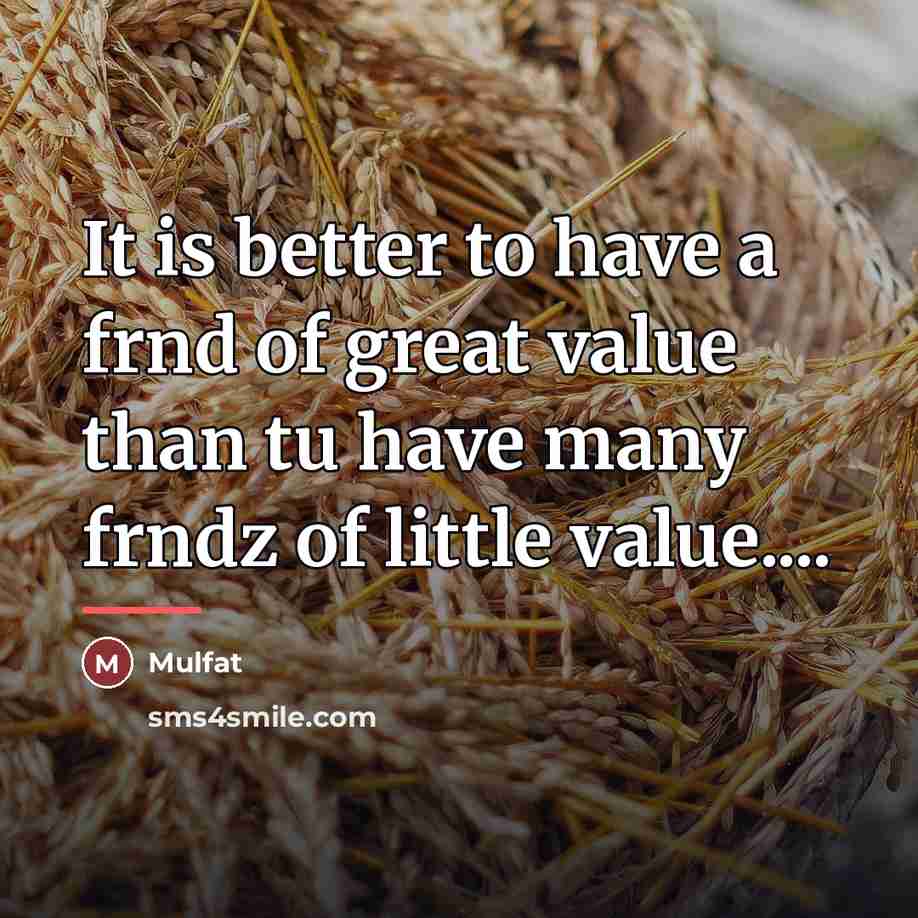 “It is better to have a frnd of great value…” quote by Mulfat