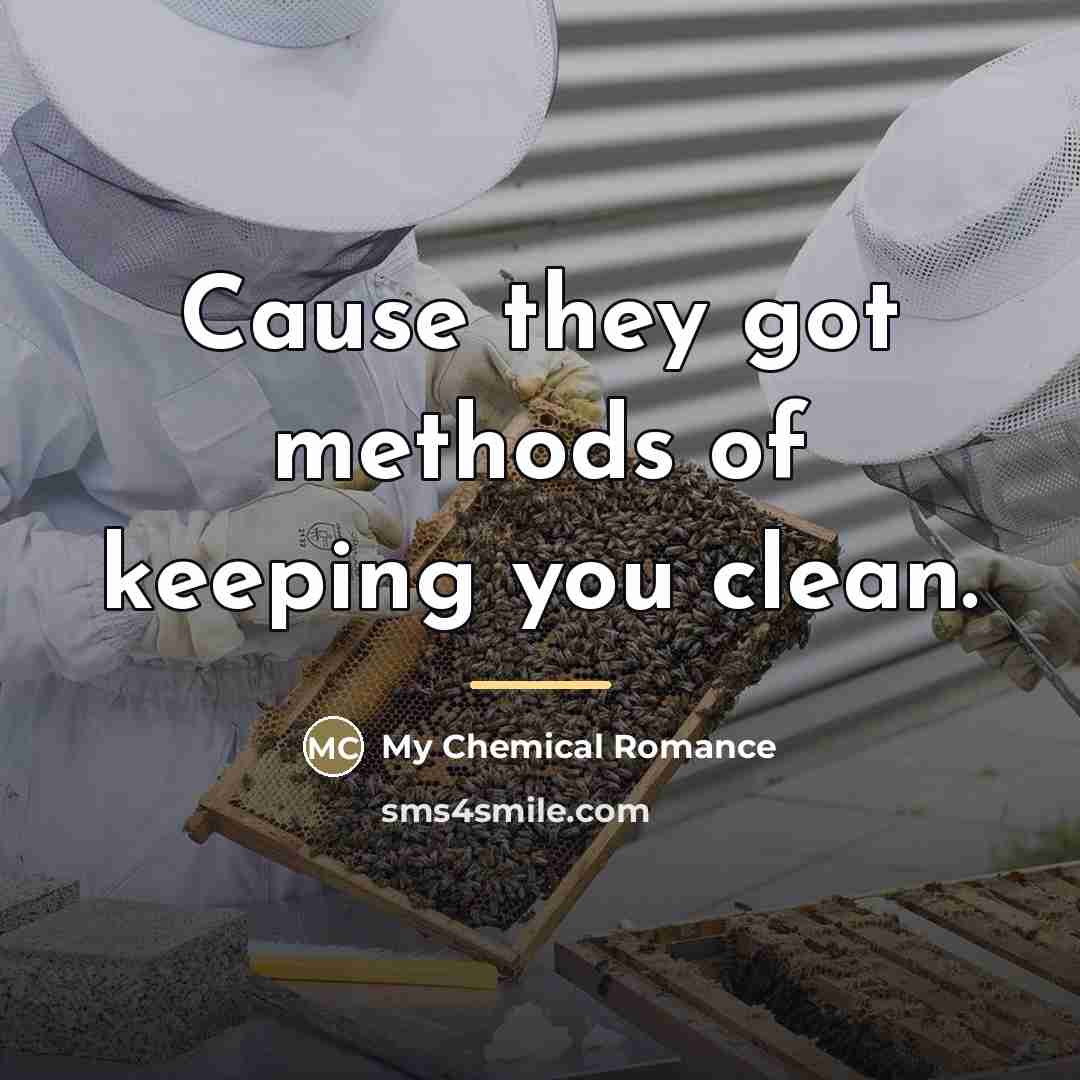 “Cause they got methods of keeping you clean.…” quote by My Chemical Romance