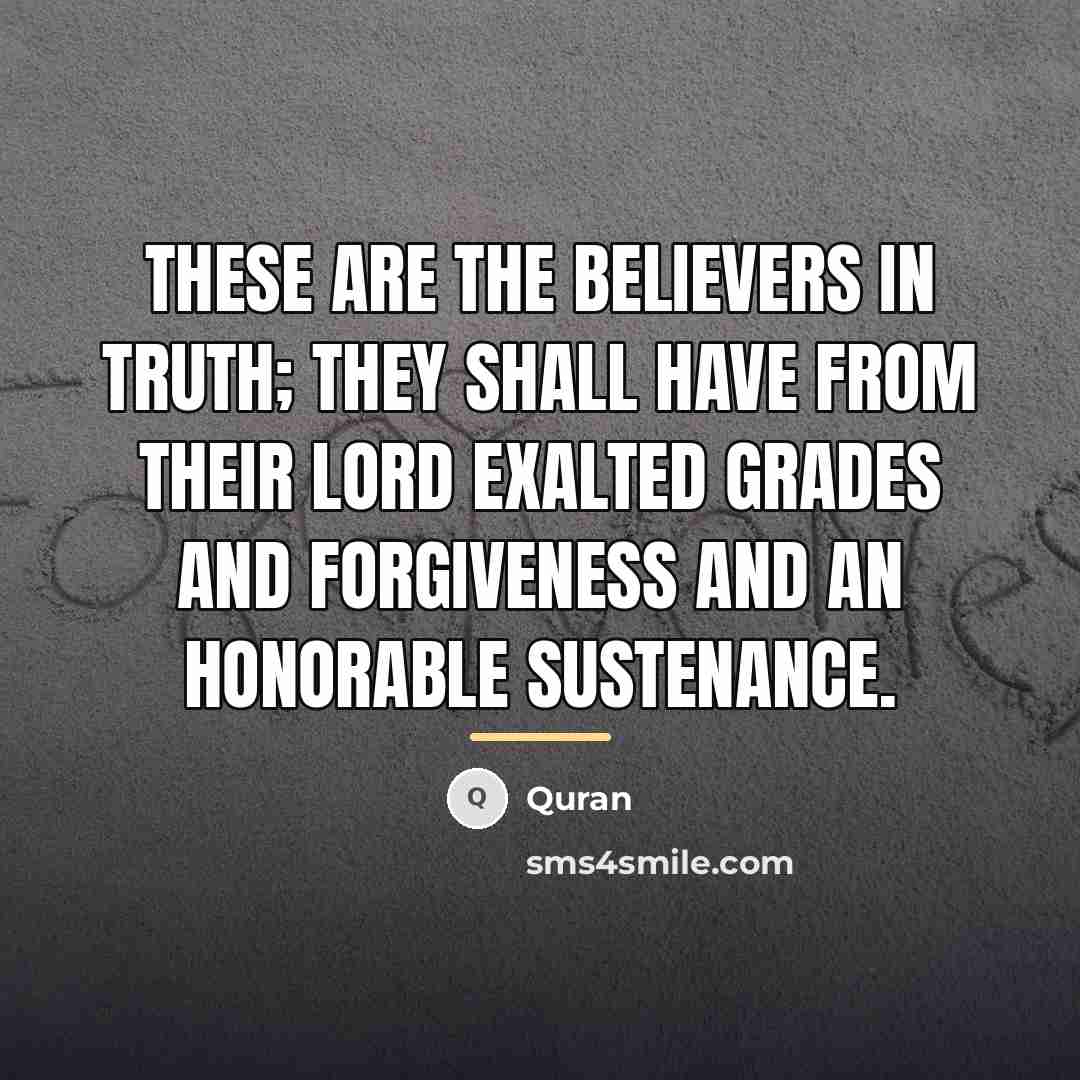 “These are the believers in truth; they shall have from…” quote by Quran