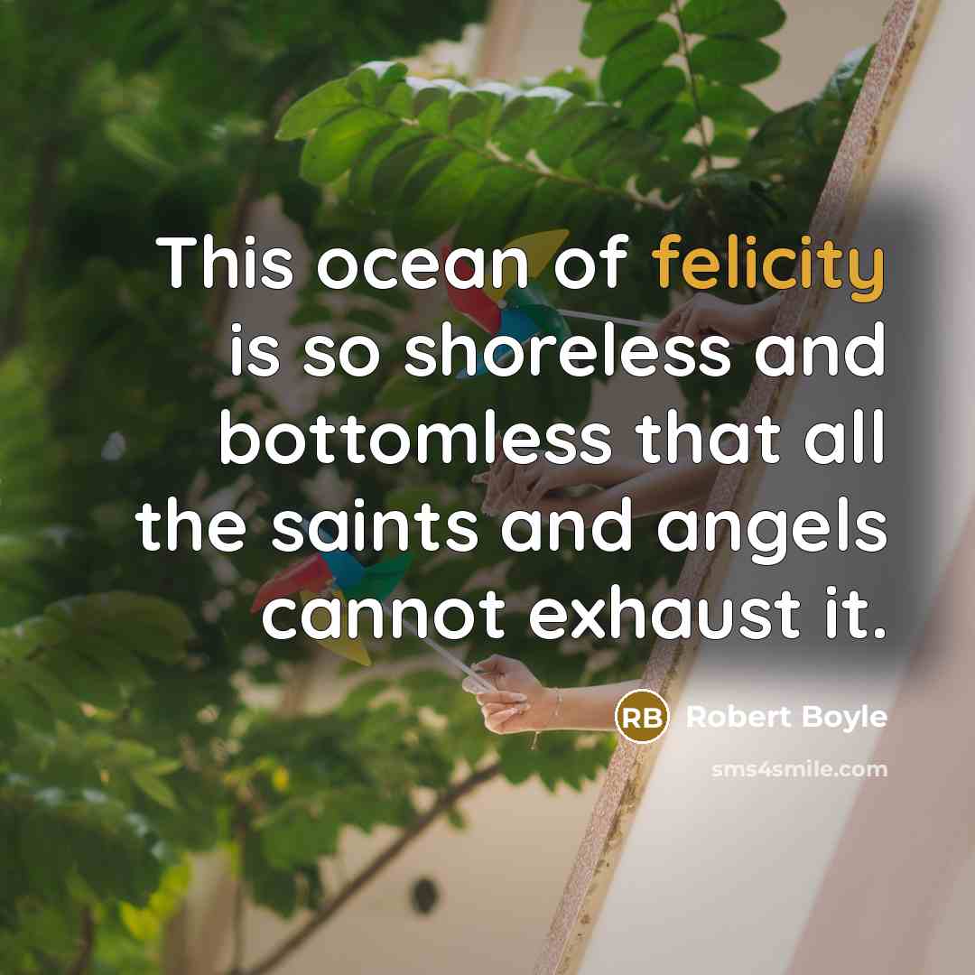 “This ocean of felicity is so shoreless and bottomless that…” quote by Robert Boyle