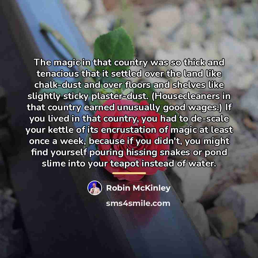 “The magic in that country was so thick and tenacious…” quote by Robin McKinley