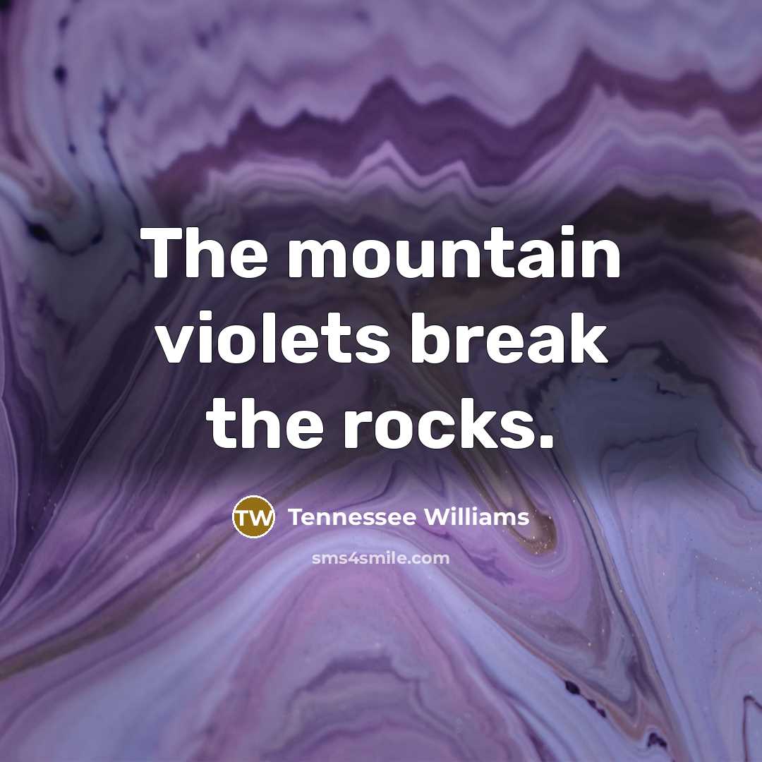 “The mountain violets break the rocks.…” quote by Tennessee Williams