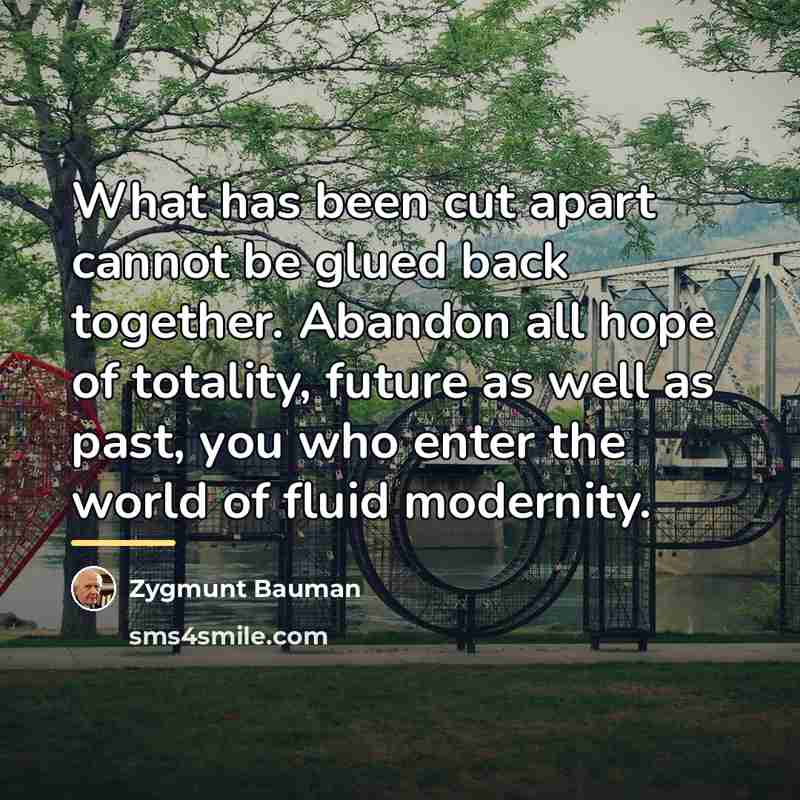 “What has been cut apart cannot be glued back together.…” quote by Zygmunt Bauman