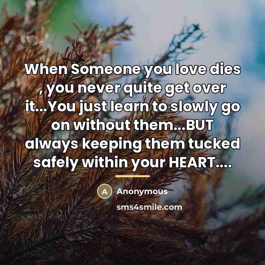 “When Someone you love dies , you never quite get…” quote by Anonymous
