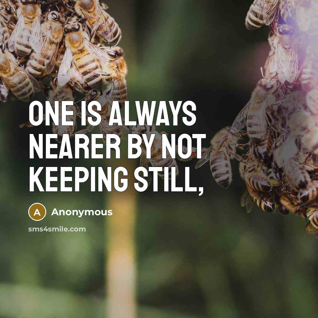 “One is always nearer by not keeping still,” quote by Anonymous