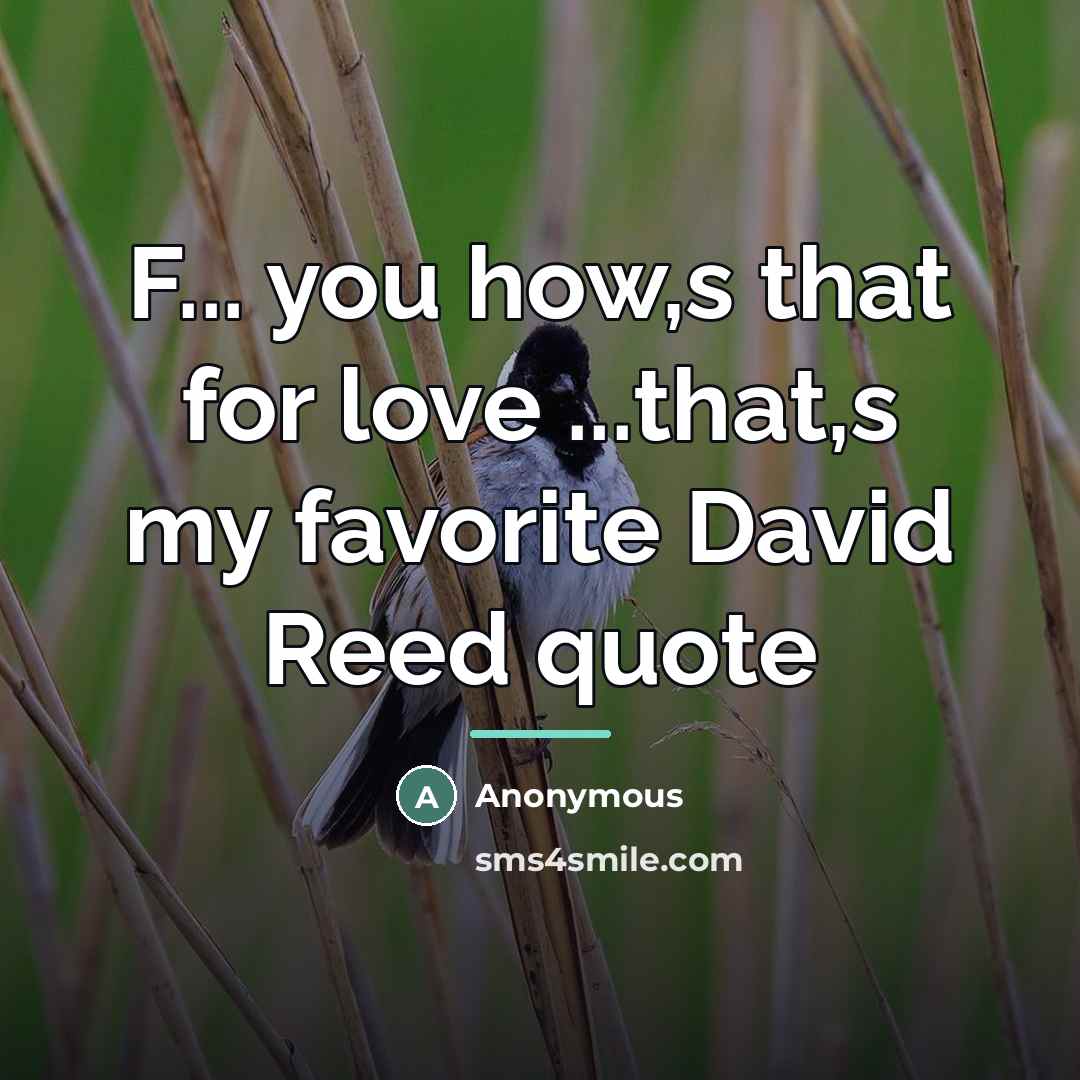 “F... you how,s that for love ...that,s my favorite David…” quote by Anonymous
