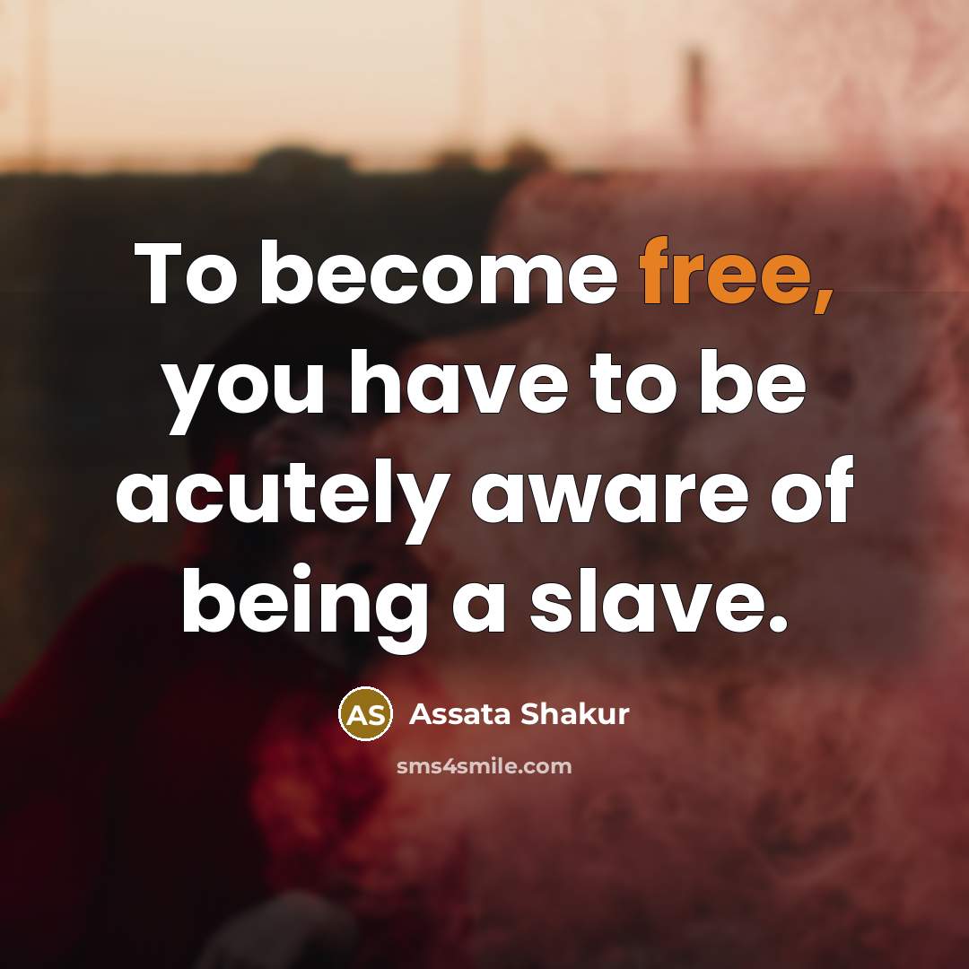 “To become free, you have to be acutely aware of being a slave.” quote by Assata Shakur