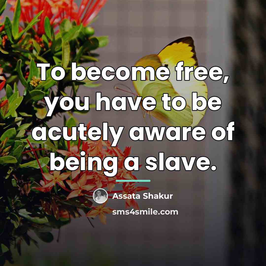 “To become free, you have to be acutely aware of…” quote by Assata Shakur