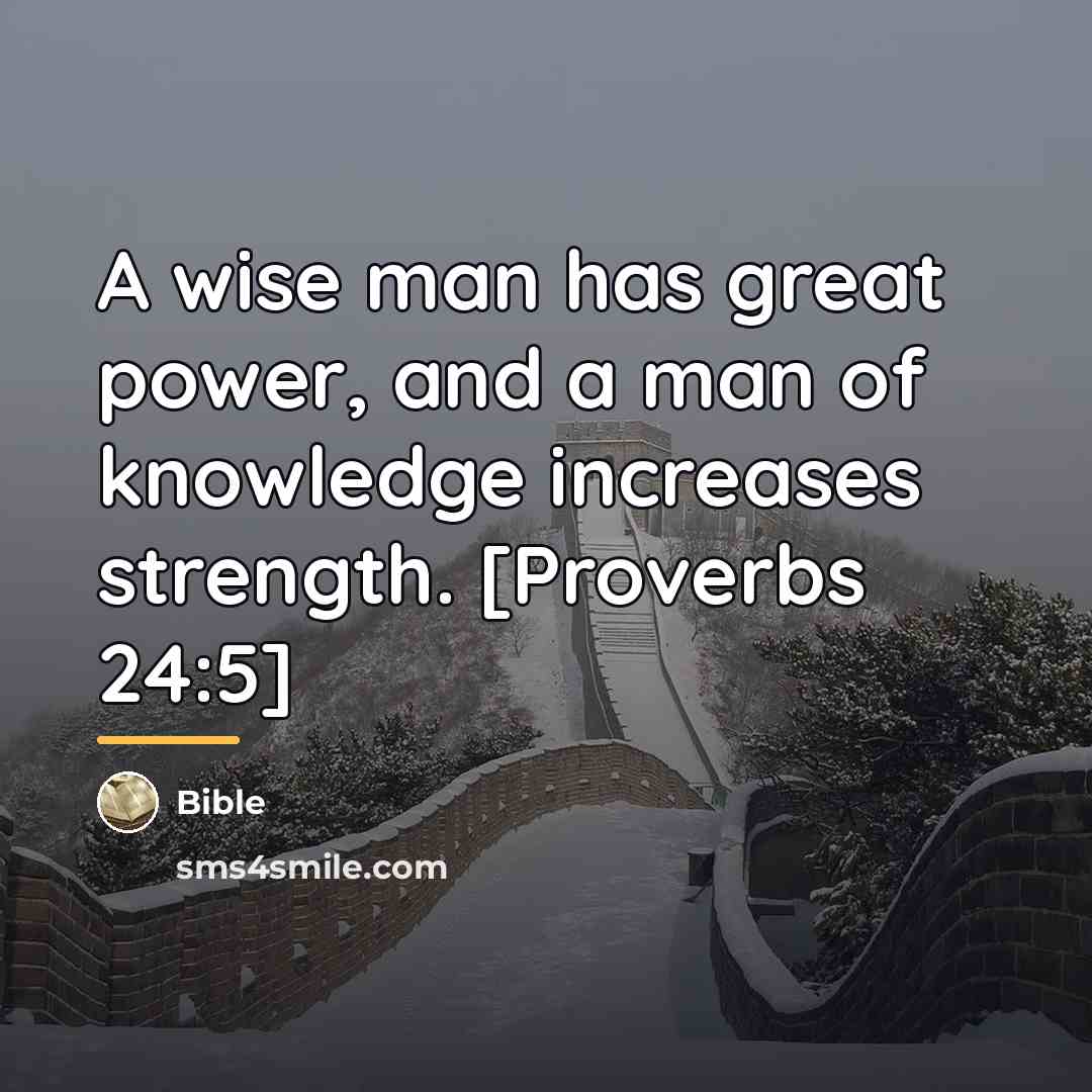 “A wise man has great power, and a man of…” quote by Bible
