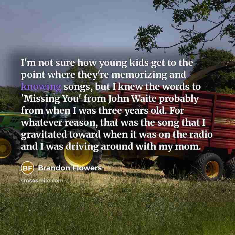 “I'm not sure how young kids get to the point…” quote by Brandon Flowers