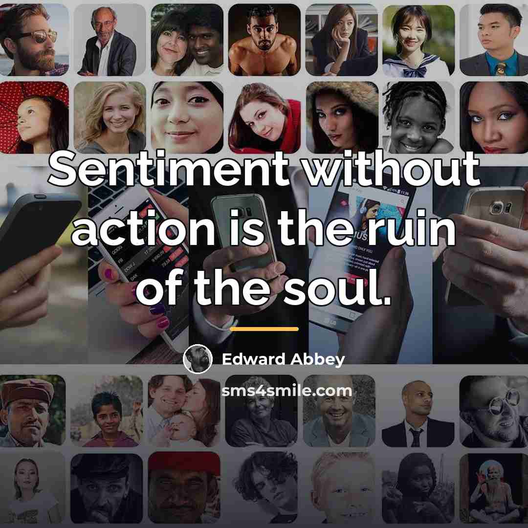 “Sentiment without action is the ruin of the soul.…” quote by Edward Abbey