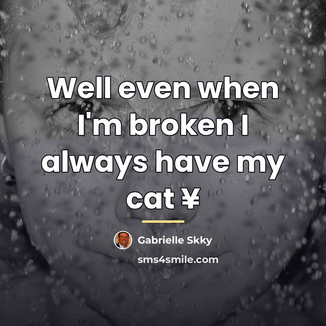 “Well even when I'm broken I always have my cat…” quote by Gabrielle Skky
