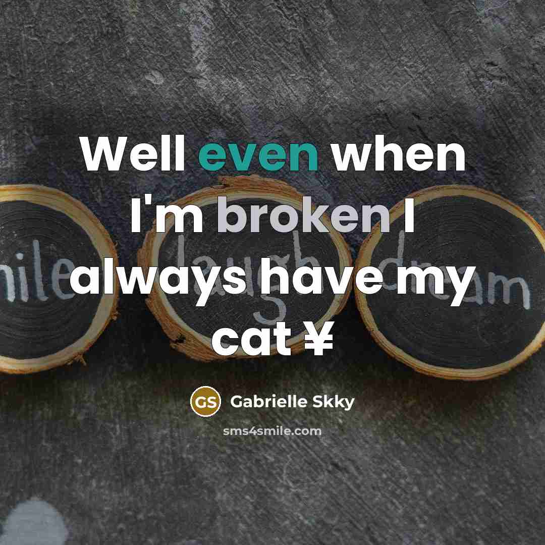 “Well even when I'm broken I always have my cat ¥” quote by Gabrielle Skky