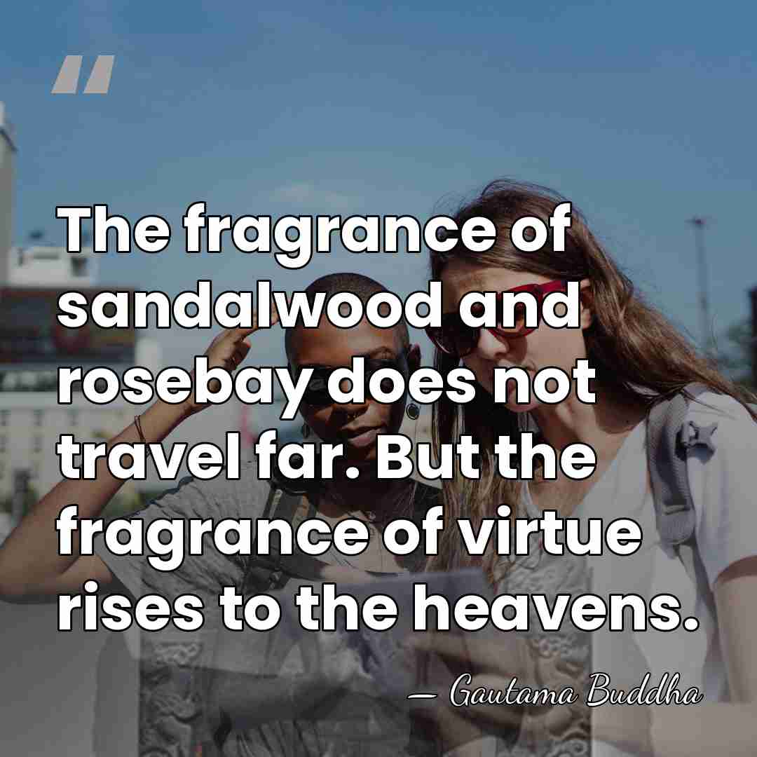 The fragrance of sandalwood and rosebay does not travel far. But the&hellip; - Gautama Buddha