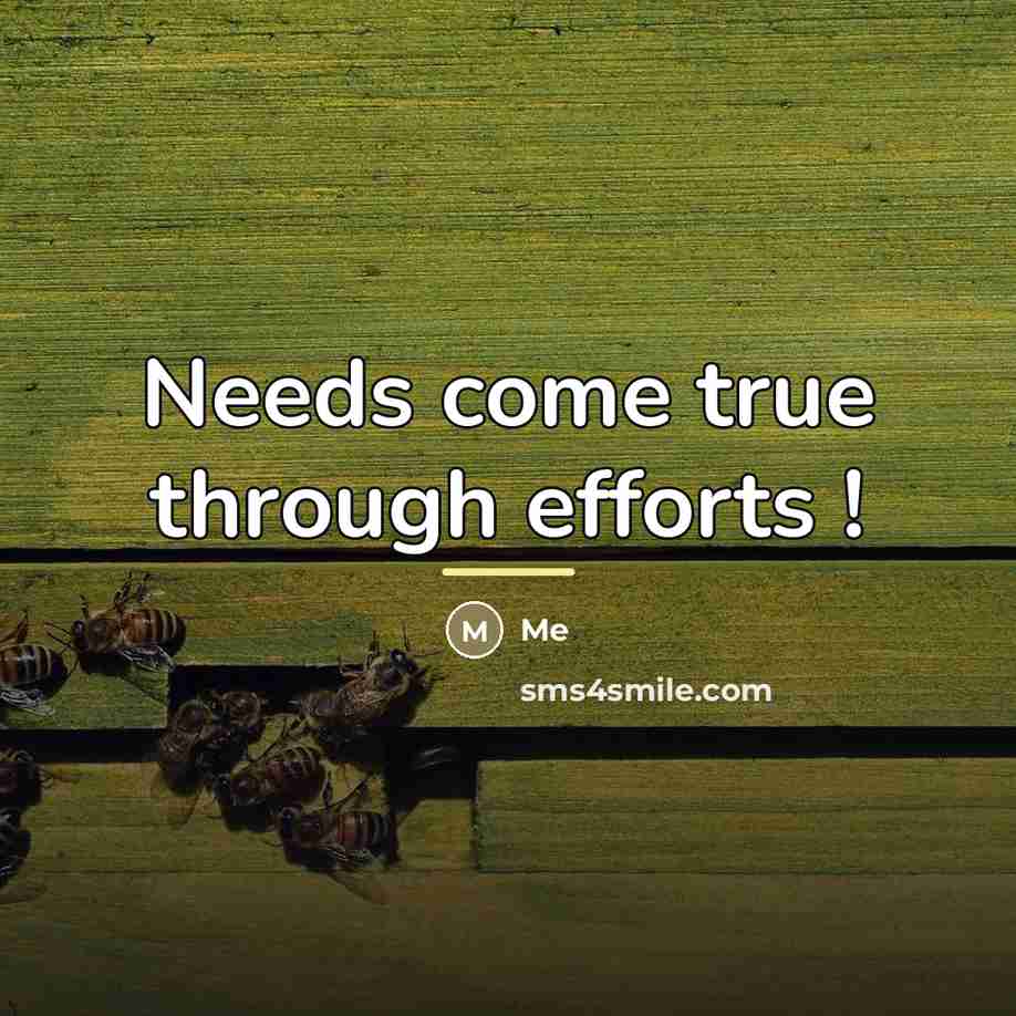 “Needs come true through efforts !…” quote by Me