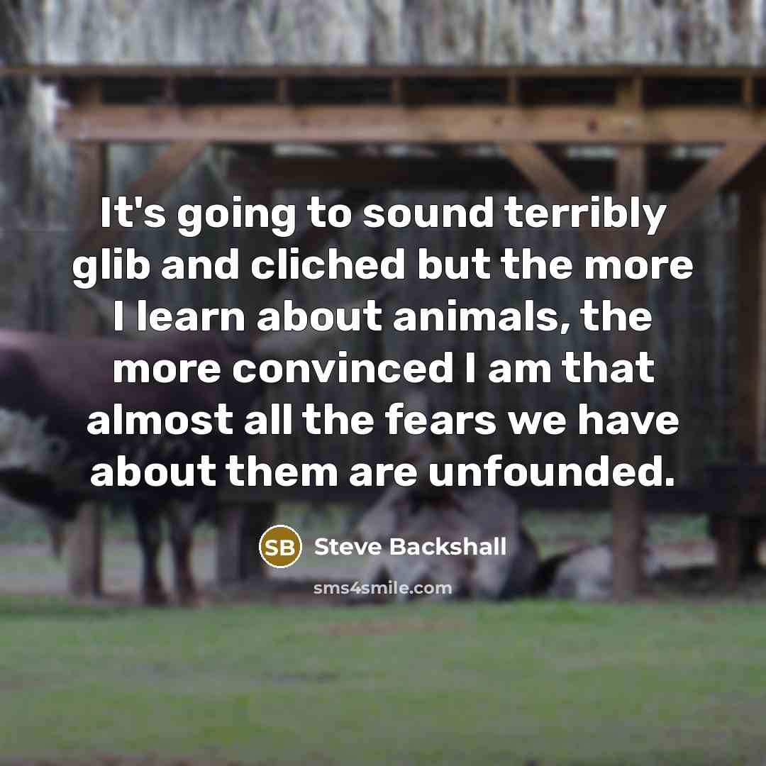 “It's going to sound terribly glib and cliched but the…” quote by Steve Backshall