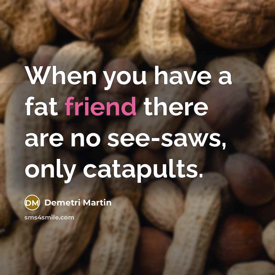 “When you have a fat friend there are no see-saws,…” quote by Demetri Martin