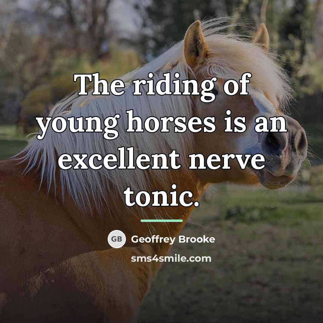 “The riding of young horses is an excellent nerve tonic.…” quote by Geoffrey Brooke