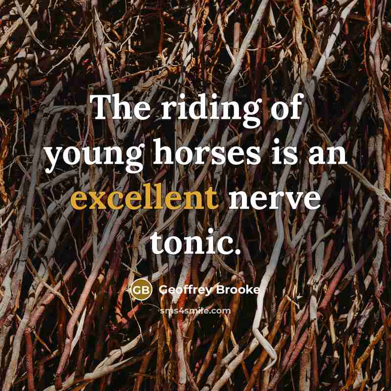“The riding of young horses is an excellent nerve tonic.” quote by Geoffrey Brooke
