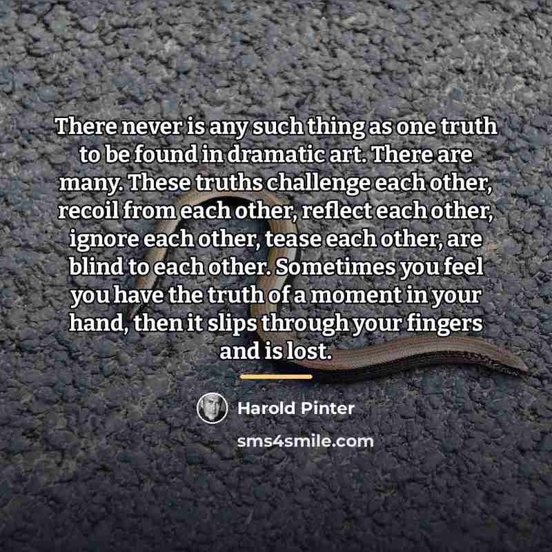 “There never is any such thing as one truth to…” quote by Harold Pinter