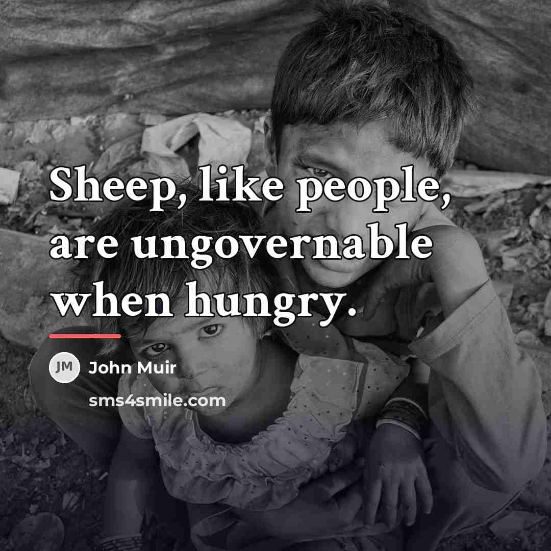 “Sheep, like people, are ungovernable when hungry.…” quote by John Muir