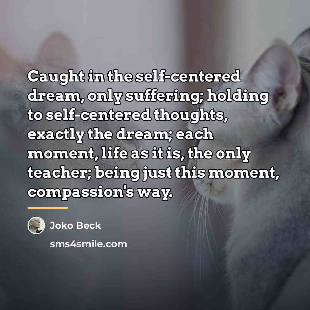 “Caught in the self-centered dream, only suffering; holding to self-centered…” quote by Joko Beck