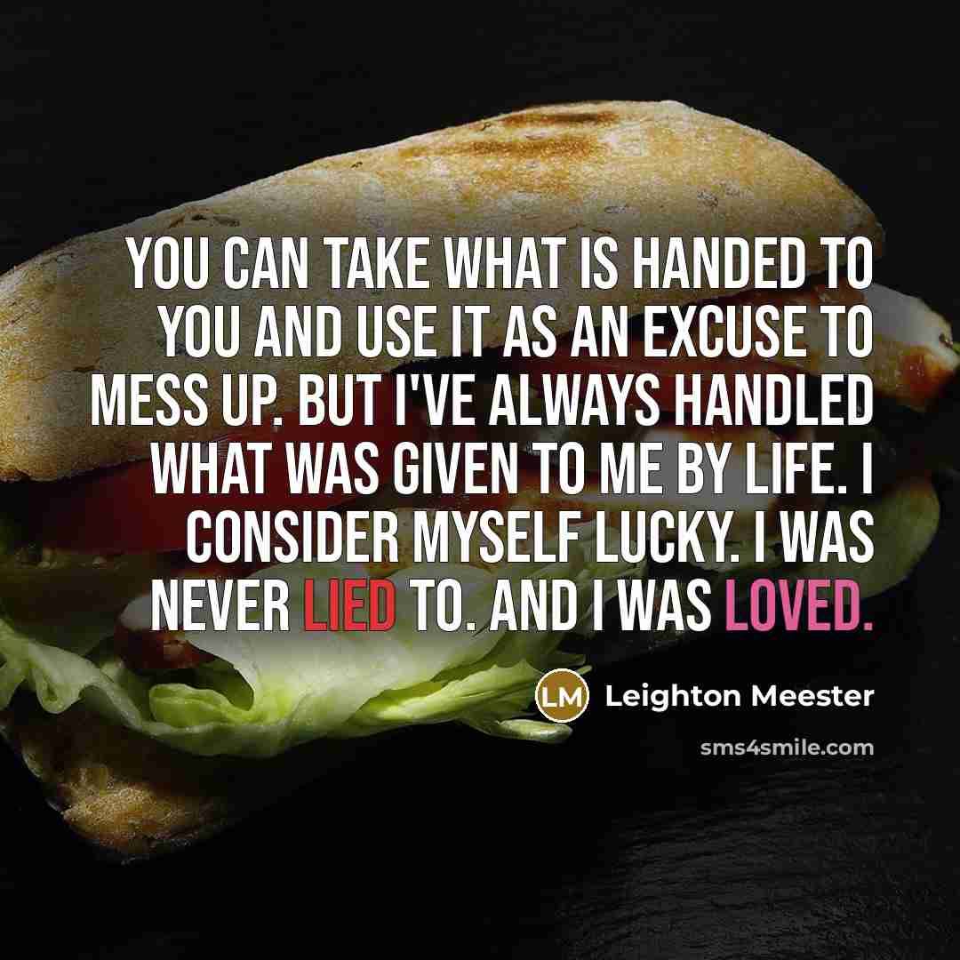 “You can take what is handed to you and use…” quote by Leighton Meester