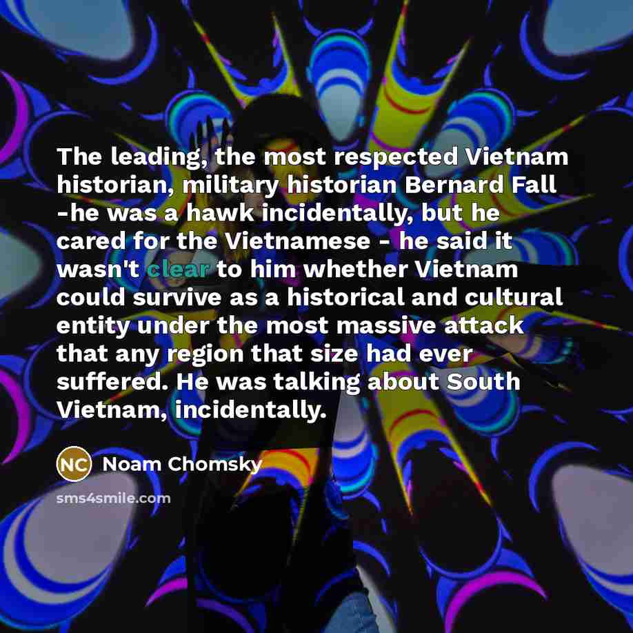 “The leading, the most respected Vietnam historian, military historian Bernard…” quote by Noam Chomsky