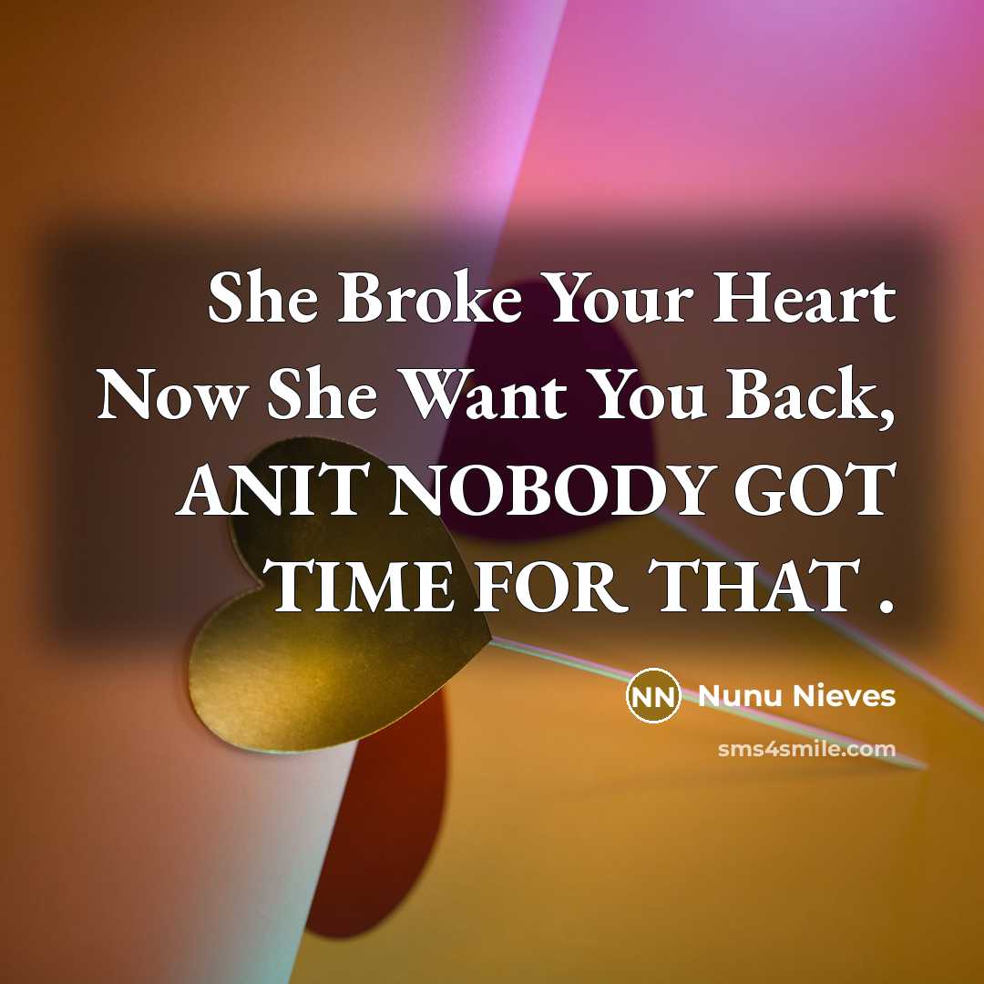 “She Broke Your Heart Now She Want You Back, ANIT…” quote by Nunu Nieves