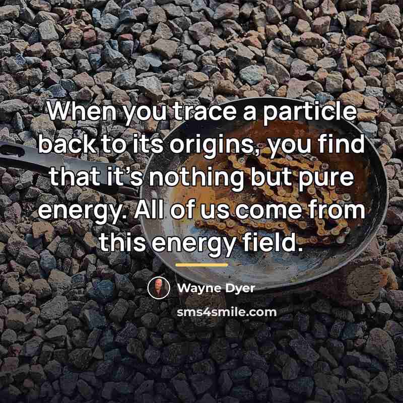 “When you trace a particle back to its origins, you…” quote by Wayne Dyer