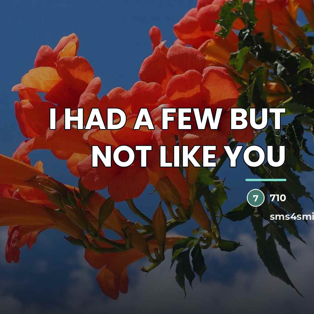 “I HAD A FEW BUT NOT LIKE YOU…” quote by 710