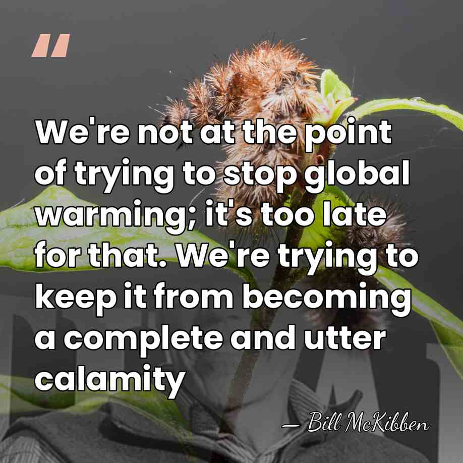 We're not at the point of trying to stop global warming; it's&hellip; - Bill McKibben
