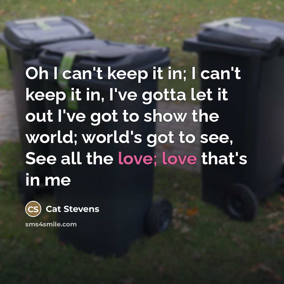 “Oh I can't keep it in; I can't keep it…” quote by Cat Stevens