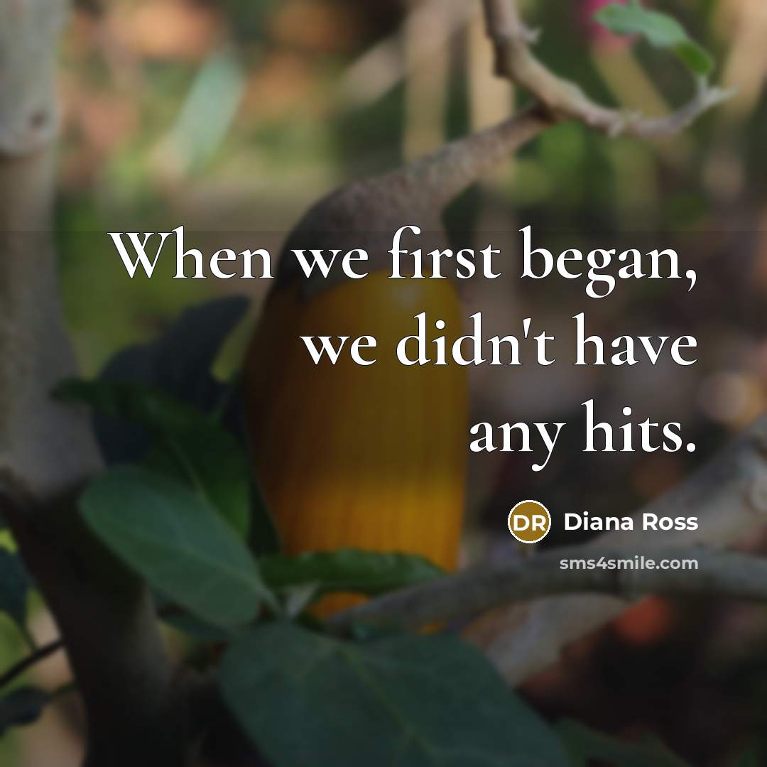 “When we first began, we didn't have any hits.…” quote by Diana Ross