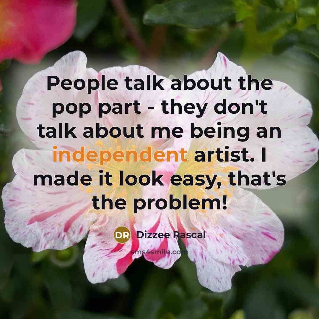 “People talk about the pop part - they don't talk…” quote by Dizzee Rascal
