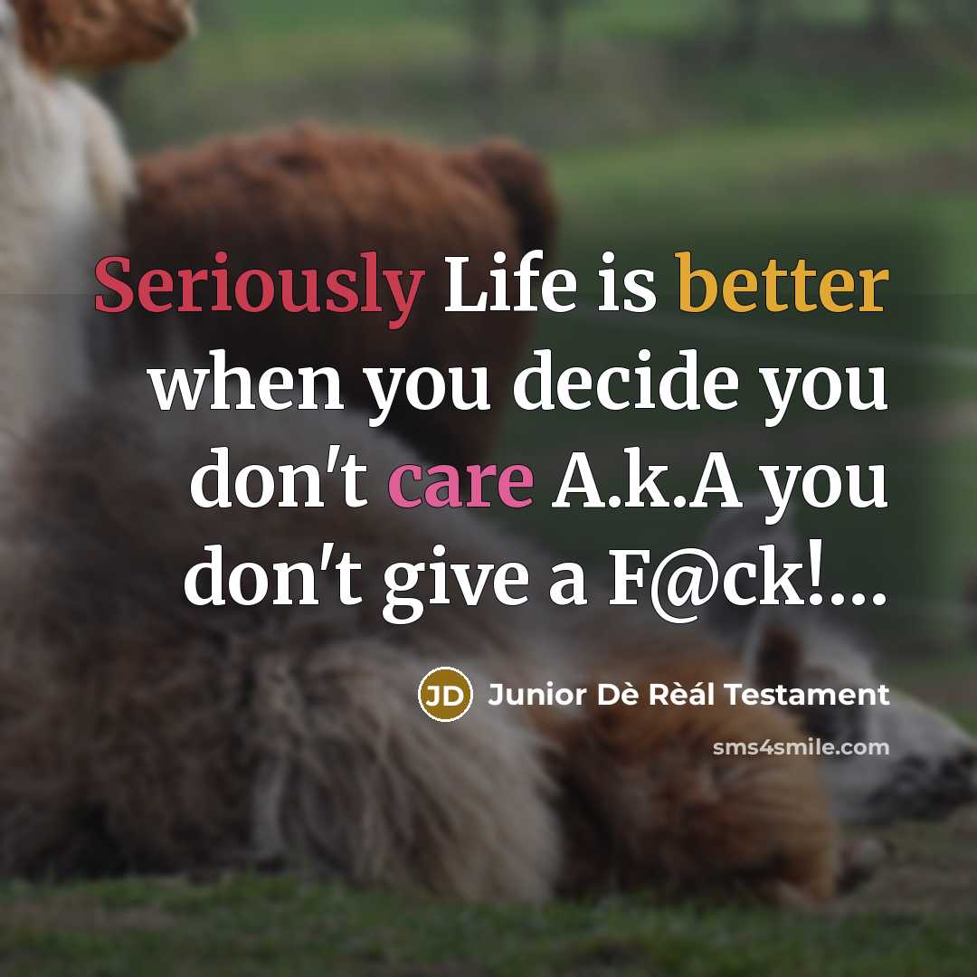 “Seriously Life is better when you decide you don't care A.k.A you don't give a F@ck!…” quote by Junior Dè Rèál Testament
