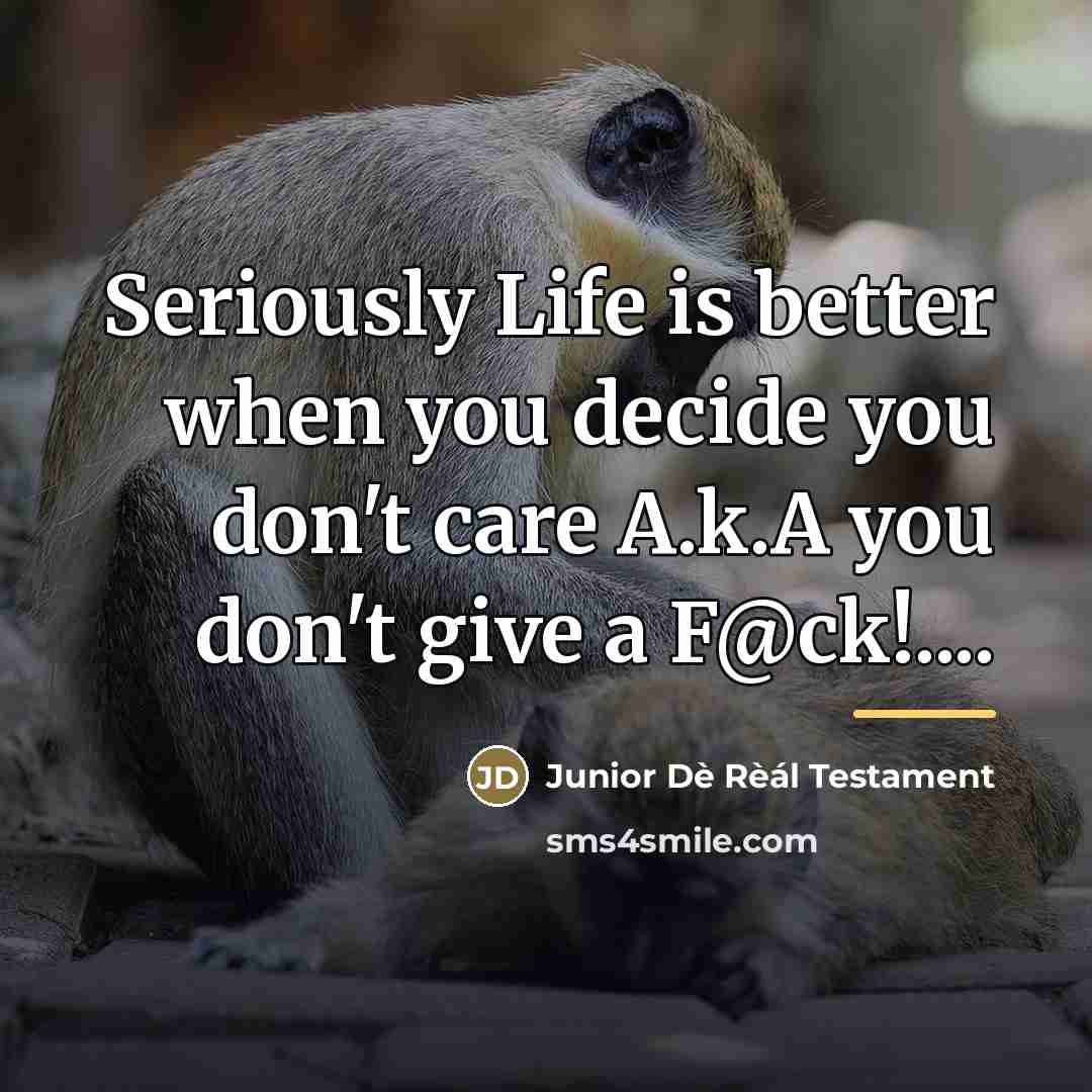 “Seriously Life is better when you decide you don't care…” quote by Junior Dè Rèál Testament