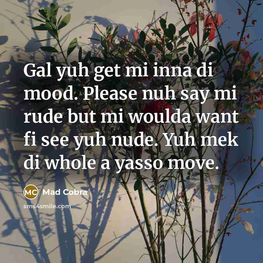“Gal yuh get mi inna di mood. Please nuh say mi rude but mi woulda want fi see yuh nude. Yuh mek di whole a yasso move.” quote by Mad Cobra