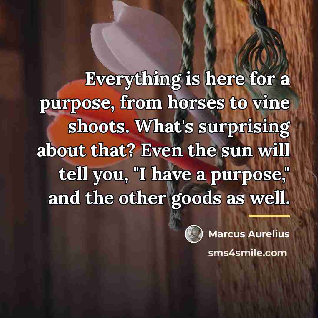 “Everything is here for a purpose, from horses to vine…” quote by Marcus Aurelius