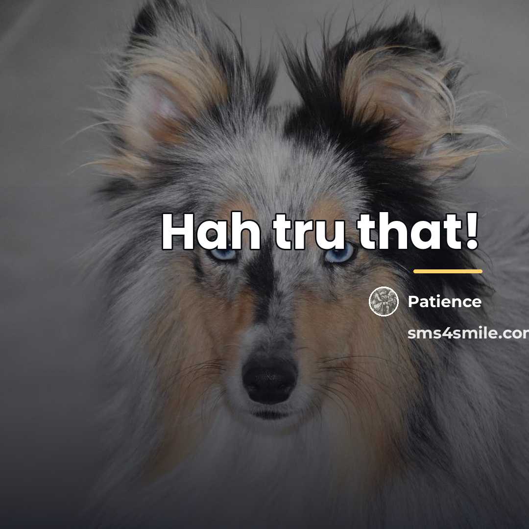 “Hah tru that!…” quote by Patience