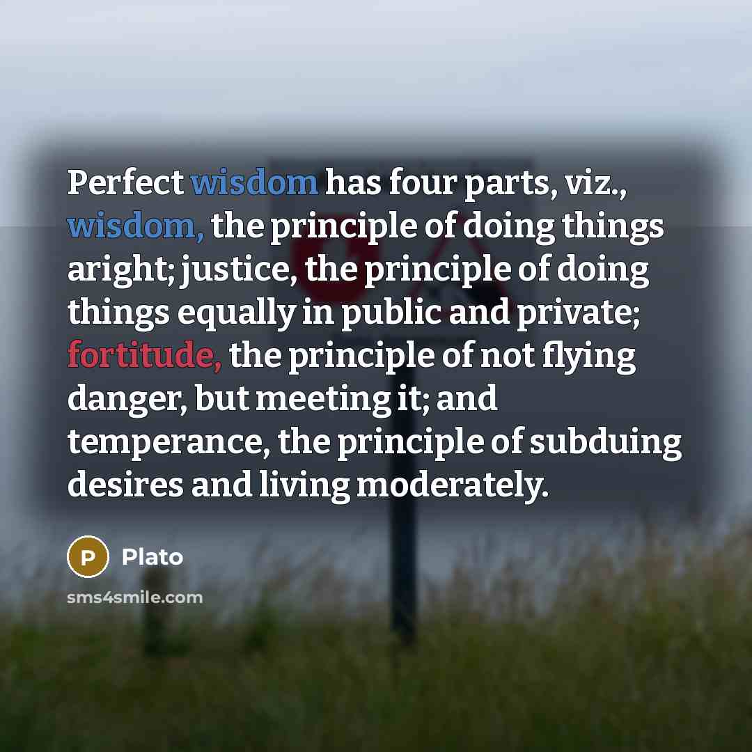 “Perfect wisdom has four parts, viz., wisdom, the principle of…” quote by Plato