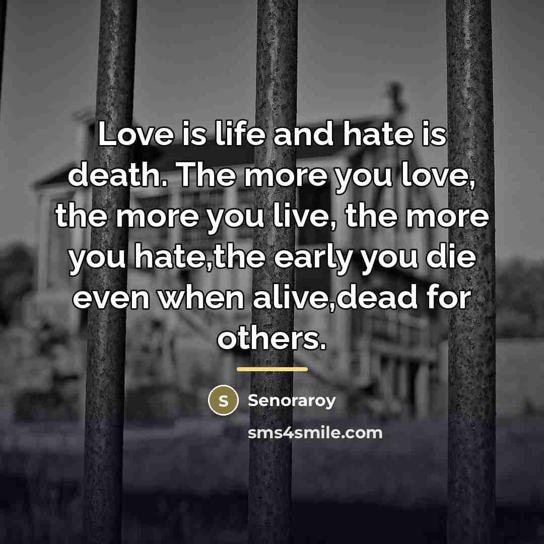 “Love is life and hate is death. The more you…” quote by Senoraroy