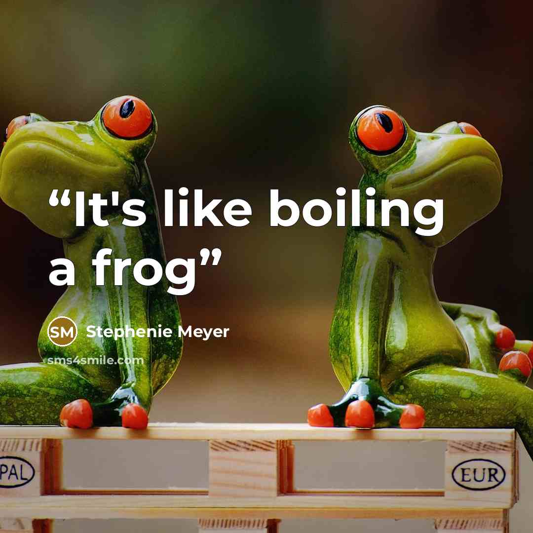 “It's like boiling a frog” quote by Stephenie Meyer