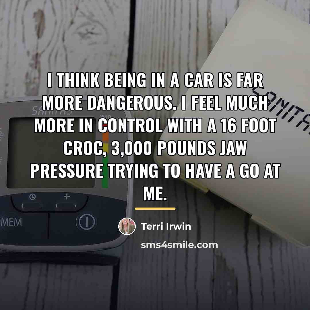 “I think being in a car is far more dangerous.…” quote by Terri Irwin