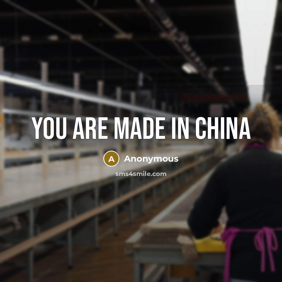 “YOU are Made in china” quote by Anonymous