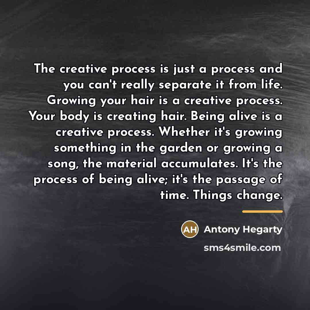 “The creative process is just a process and you can't…” quote by Antony Hegarty