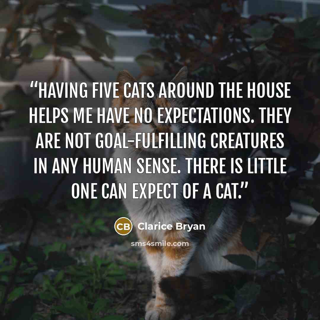 “Having five cats around the house helps me have no expectations. They are not goal-fulfilling creatures in any human sense. There is little one can expect of a cat.” quote by Clarice Bryan